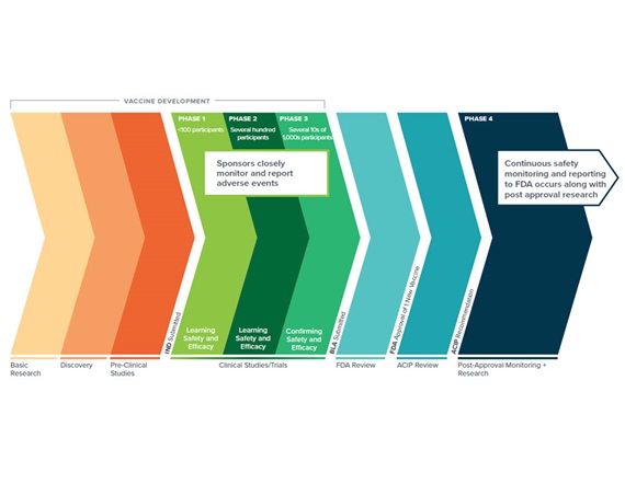 A timeline infographic depicting the various phases of vaccine development, including the four major phases of clinical trial discovery and post-manufacture and monitoring